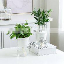 New Product Auto Ceramic Planter Succulent Flower Plant Planter Self Watering Pots thumbnail-4