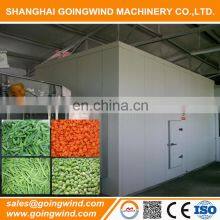 Automatic Vegetable Freezer Machine IQF Vegetables Quick Freezing Equipment Good Price for Sale