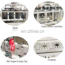 Vegatable Bell Pepper Apricot Apple Cherry Peach Longyan Seed Removing Pitting Cutting Slicing Machine thumbnail-5