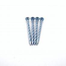 Screw Shank Nails Q195 Grade for Concrete Formwork thumbnail-2