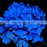 Wide Variety New Arrival Apple Hydrangea Wreath thumbnail-4