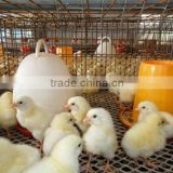 VD2-105 poultry farming equipment