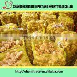 Farmer Supply 150g+ Chinese Fresh Ginger Organic/wholesale Ginger thumbnail-3