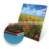 2mm 3mm 4mm 6mm Thick Best Factory Price