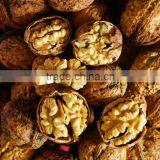 best quality walnut/good quality walnut chile/light yellow walnut color from CHINA