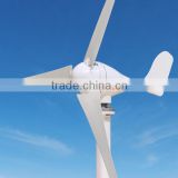 100w portable wind generator 12v 24v