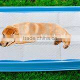 High Quality Yinjing Disposable Pet Pad