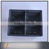 2015 New Design Ps Foam Apple Tray Machine