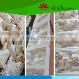 With Colored Muscle and Ligament 170 Huamn Skeleton Medical Model thumbnail-6