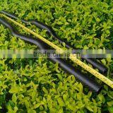 3k Carbon Fiber Bike Frames Tube thumbnail-2