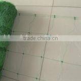 Plants Protection Net/BOP Trellis Netting thumbnail-2