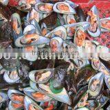 Frozen Green Mussels