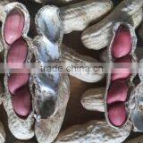 2014 Crop Chinese Red Skin Peanuts 50/60 40/50 , Good Quality With no Aflatoxin thumbnail-2