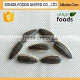 Chinese High Quality Sunflower Seeds thumbnail-1