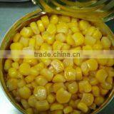 2016 New Canned Sweet Corn Factory Supplying High Quality thumbnail-5