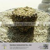 Hard Clumping Easy Scooped Dust Free Bentonite Cat Litter thumbnail-5