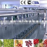 20m stainless steel mesh belt commercial tropical fruits and vegetables dehydrator/drying machine/dryer hot selling in Vietnam