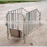Sow Limited Crate/ Gestation/stall/pen thumbnail-2
