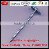 Dongguan Factory OEM High Precision Umbrella Roofing Nail thumbnail-2
