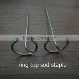 Ground Sod Staple thumbnail-1