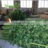 SJLJ013723 High Quality Artificial Bamboo Stick Plastic Evergreen Bamboo Plant thumbnail-6