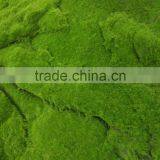 SJ141102 Artifiical Moss Carpet Mat for Garden Decoration thumbnail-2