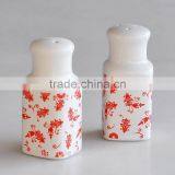 Ceramic Salt and Pepper Set,porcelain Cruet Set,porcelain Shaker Set