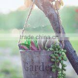Succulents Wooden Decorative Flower Pot thumbnail-3