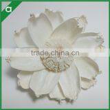 Popular Sola Wood Paper Flower for Reed Diffuser thumbnail-1