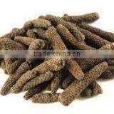 Piper Longum Dry Extract thumbnail-3