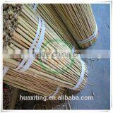 dry bamboo Tonkin poles sale