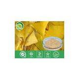 Ginkgo Biloba Extract