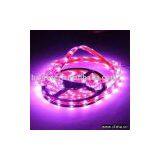 Flexible LED Strip Light,Flexible SMD LED Strip Light,led Ribbon Light ,SMD Strip Light,LED Rope Light , thumbnail-1