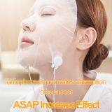 Ion Mask Facial Mask Device Iontophoresis Promotes Absorption of Essence thumbnail-2