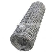 Cage Galvanized Welded Wire Mesh Roll 16 Gauge Plain Weave Welded Wire Mesh thumbnail-1
