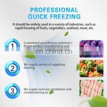 Professional Iqf Freezer Tunnel in Industrial Freezer for Vegetable Snacks Meat Seafood Fruit thumbnail-3