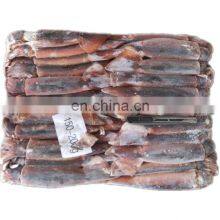 Wholesale China Frozen Argentina Illex Squid thumbnail-3