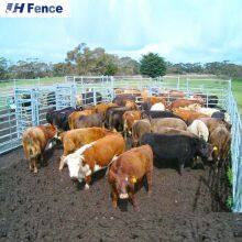 Heavy Duty Wholesale Bulk Galvanized Sheep Panel Livestock Farm Yard Cow Cattle Corral Panels Used Cattle Fencing for Sale thumbnail-2