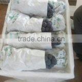 Chinese Fresh Black Globe Grape thumbnail-3