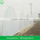 Low Cost Poly Tunnel Greenhouse for Sale thumbnail-1