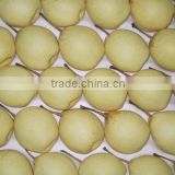 China fresh Ya pear for export best quality