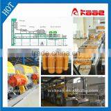 Turnkey Project Tangerine Juice Production Line