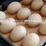 Huahai Laser Marker Portable Marking Machine for Eggs by Co2 Laser thumbnail-2