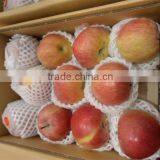 Foam plastic fruit sleeve net