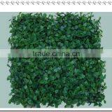 Artificial Boxwood Lawn thumbnail-1