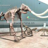 High Simulation Artificial Mammoth Replica Animal Skeleton