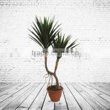 Home Decorative Artificial Bonsai Tree For Sale thumbnail-3