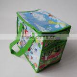 Child Picnic Bag,promotion Picnic Bag,lunch Kit