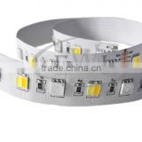 New arrival high lumen led strip 5050rgbw with 5 colors