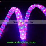LED Rainbow Rope Light Flat Three Wire Rope Lighting for Outdoor Decoration thumbnail-6